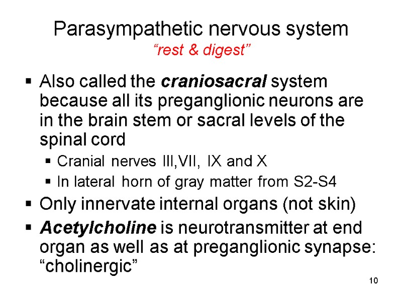 10 Parasympathetic nervous system “rest & digest” Also called the craniosacral system because all